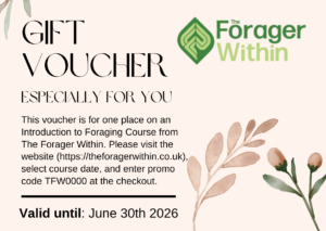 Sample Gift Voucher