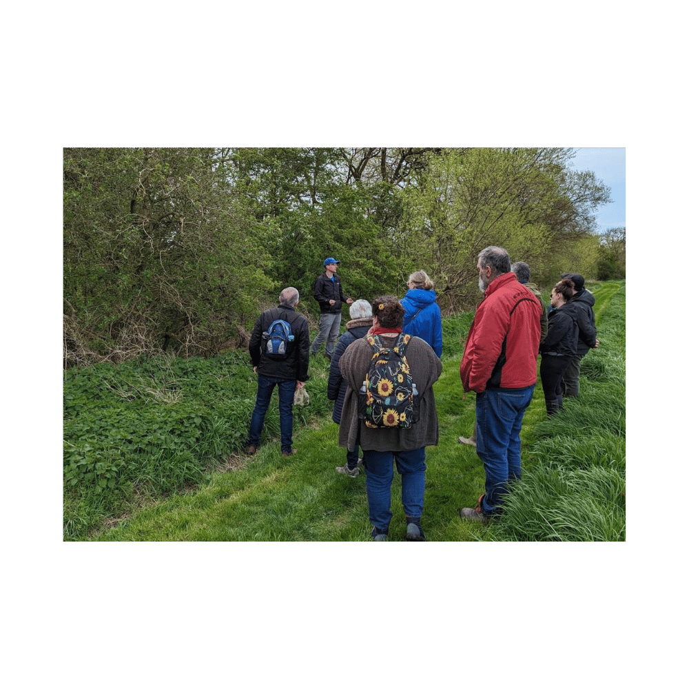Foraging Gift Vouchers - Image 3